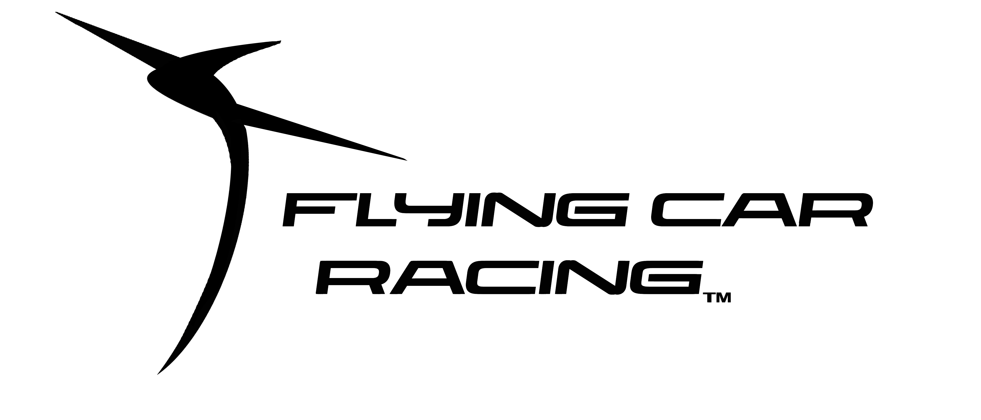 Flying Car Racing